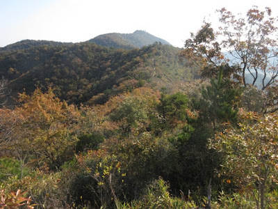 高御位山山頂部を北斜面越しに望む