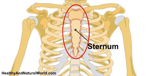 ڪوڙاٺي Sternum 💎اصغر ساگر💎