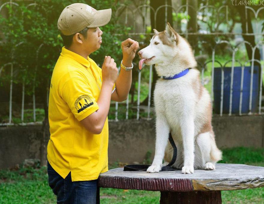 Coach Francis: 50% OFF Dog Obedience Training - Pinoy ...