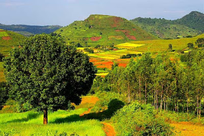 Araku valley is a perfect escaping house from a stressful life IndiaTravelDestinationsMap: AMAZING PLACES TO VISIT IN ARAKU VALLEY IN INDIA