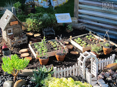 Succulent miniature farm garden in wheelbarrow