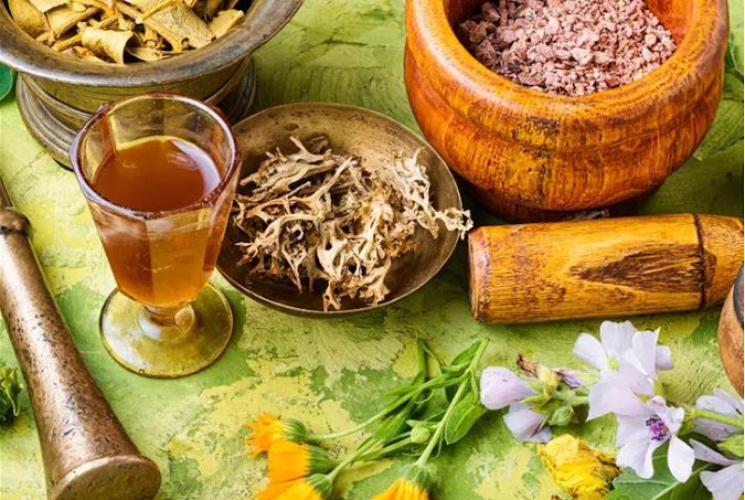 Harnessing Herbal Remedies: Natural Solutions for Mental Well-being