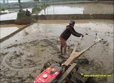 Istilah - istilah dalam pertanian yang ada di kota Subang, Jawa Barat (Bagian 3)