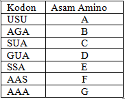 Contoh Soal USBN Biologi SMA dan Kunci Jawabannya Part4 Terbaru