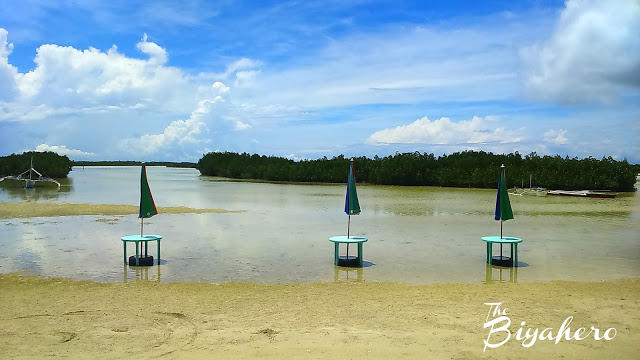 Beach side of the Island Eco Tourism Park