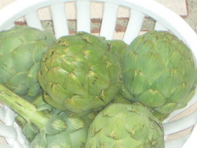 steamed artichokes