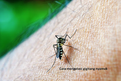 Cara Sederhana Terbebas Dari Serangan Malaria