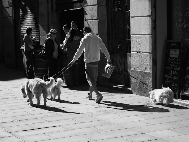 walking dogs barcelona