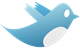 twitter-bird