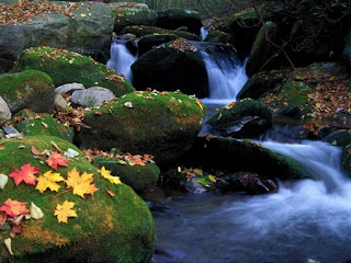 Autumn-River-Wallpapers
