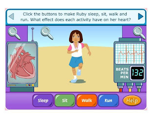 http://www.sciencekids.co.nz/gamesactivities/keephealthy.html