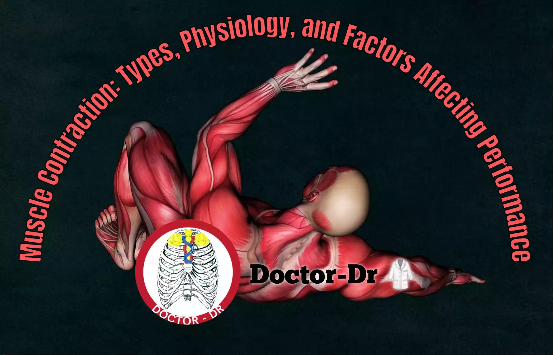 Muscle Contraction: Types, Physiology, and Factors Affecting Performance
