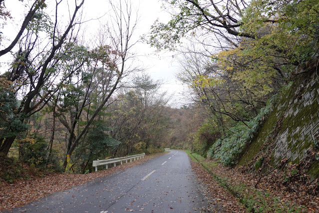 鳥取県西伯郡伯耆町真野 伯耆町総合スポーツ公園への道路