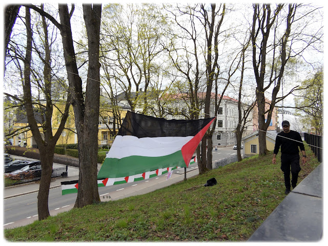 Palestina-flagg like ved den Israelske ambassaden i Parkveien i Oslo.