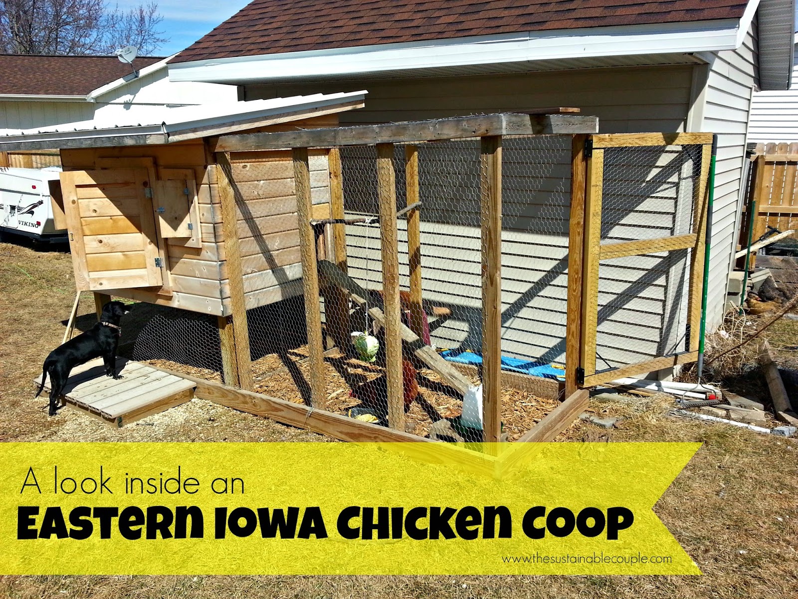 The Sustainable Couple: An Eastern Iowa Chicken Coop Tour