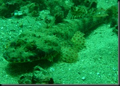IMG_0139 IMG_0139