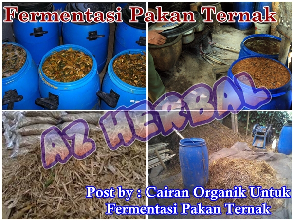 Cairan Organik Untuk Fermentasi Pakan Ternak