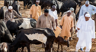 BREAKING: Ruga settlement is for Nigerians benefit - Buhari