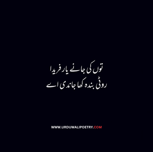 Best Punjabi Poetry in Urdu Lines | Punjabi Quotes in Urdu