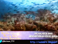 Hal-hal Kecil Yang Mengantarkan Kita Menuju Surga Hal-hal Kecil Yang Mengantarkan Kita Menuju Surga