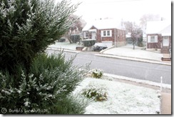 1stsnow01