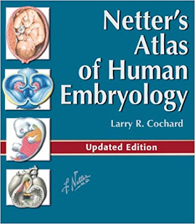 Netter’s Atlas of Human Embryology E-Book: Updated Edition