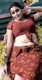 Namitha Hot and Sexy Photos