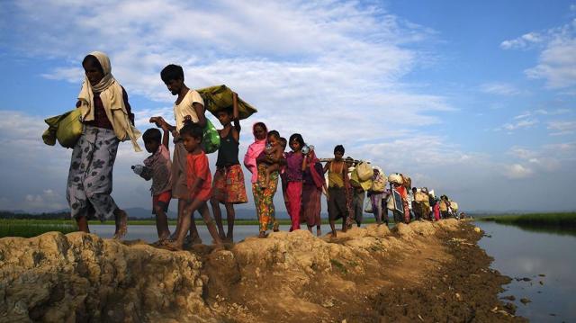 Slaughter occurred against Rohingyas 