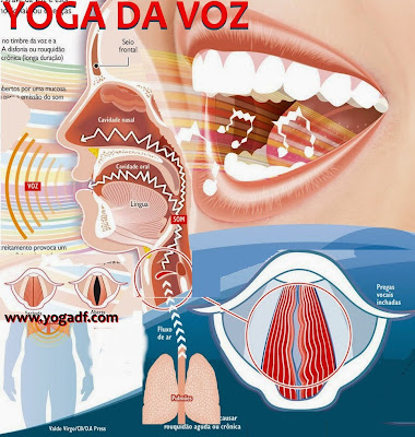yoga da voz, exercicios de yoga para voz, yoga para voz, exercicios para voz, exercicios fonoaudiologia na yoga, fonoaudiologia yoga