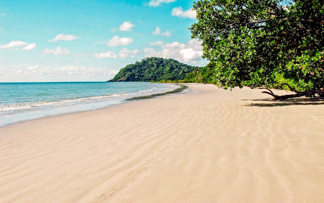 spiaggia paradisiaca, sabbia chiara, verde vegetazione