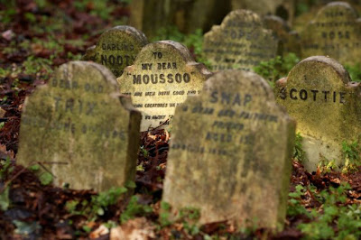 Pet Cemetery in Central London Seen On www.coolpicturegallery.us