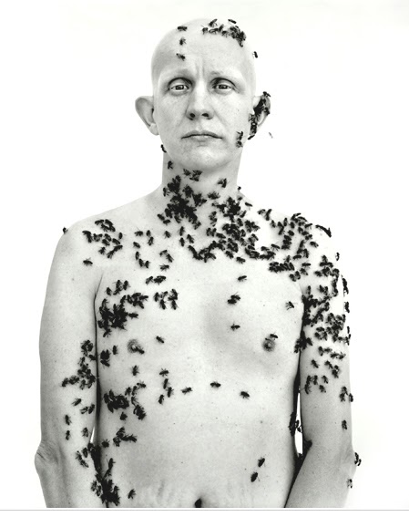 el interior del vértigo: EL APICULTOR (Richard Avedon)