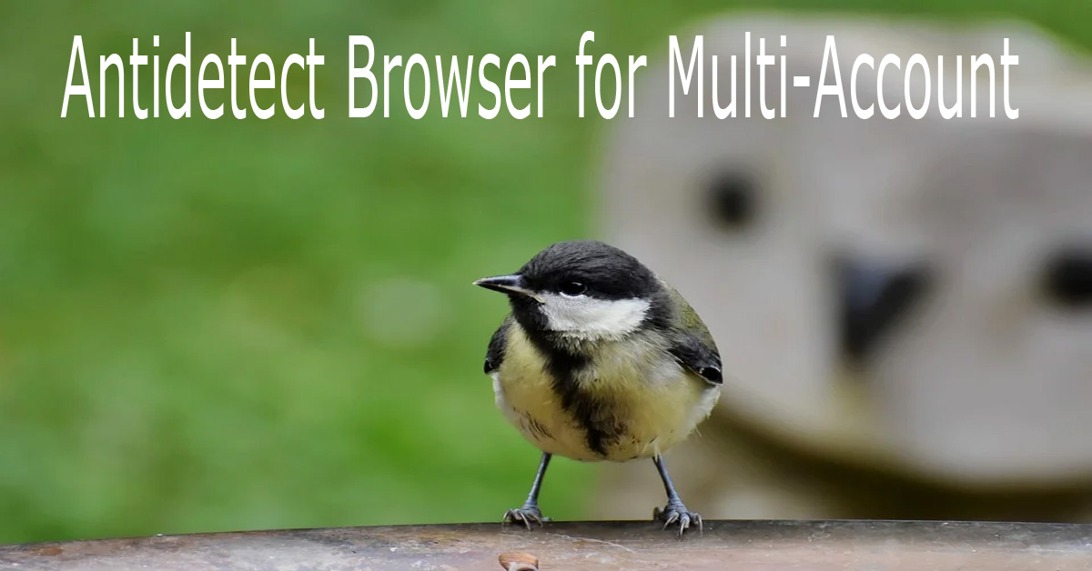 Antidetect browser for multi-account management