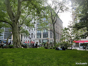 NYC_random shot_City Hall Park