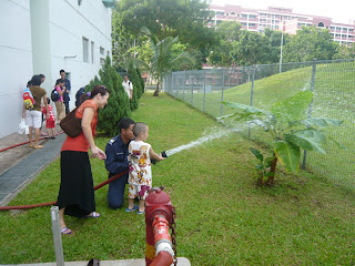 child testing the normal horse used by firemen world wide