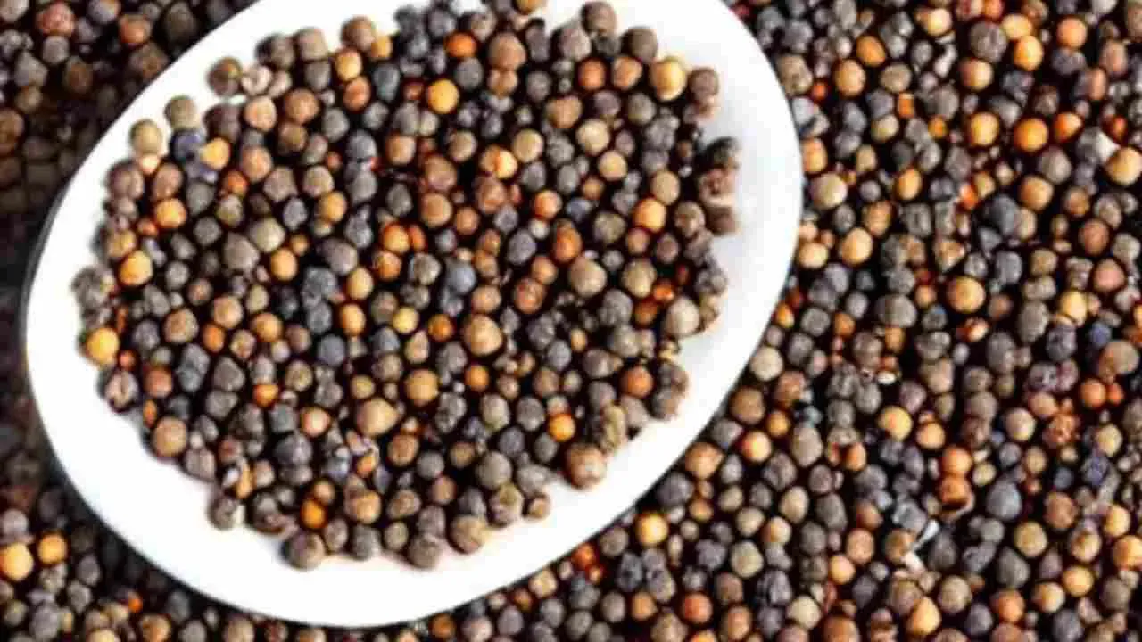 काली मिर्च के आयुर्वेदिक लाभ: Health benefits of Black Pepper in hindi