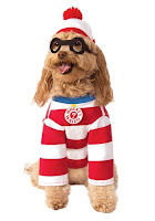 Cute Halloween Costumes for Dogs.