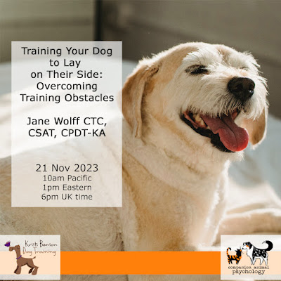 The flyer for the webinar on teaching your dog to lay on their side