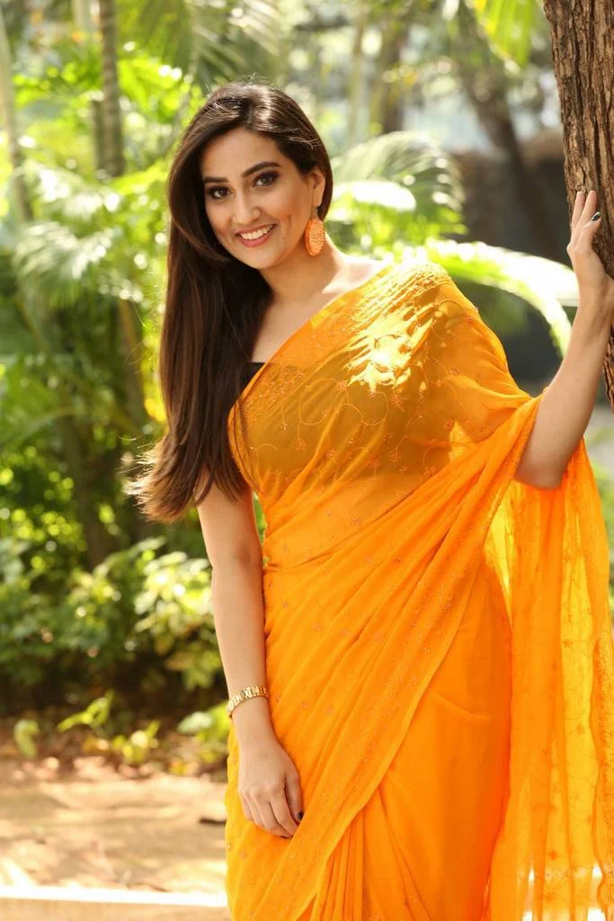 Telugu TV Anchor Manjusha Photoshoot In Transparent Yellow Saree