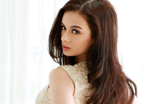Evelyn Sharma Hd Wallpapers Free Download