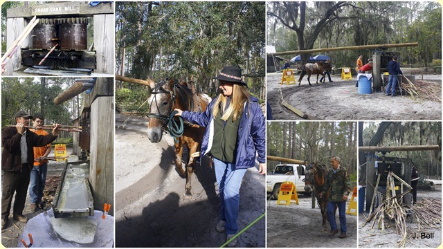 71 Okefenokee NWR 2012-1311