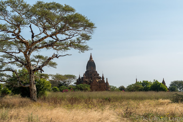 Monastère de Shwe-Man-Yin Taw - Bagan - Myanmar - Birmanie