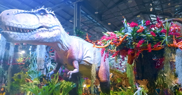 2023台灣國際蘭展超過5萬株各品種蘭花結合會動的恐龍好有趣