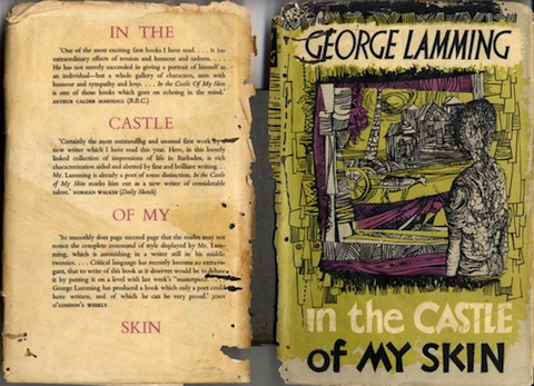 In The Castle of My Skin Book Cover