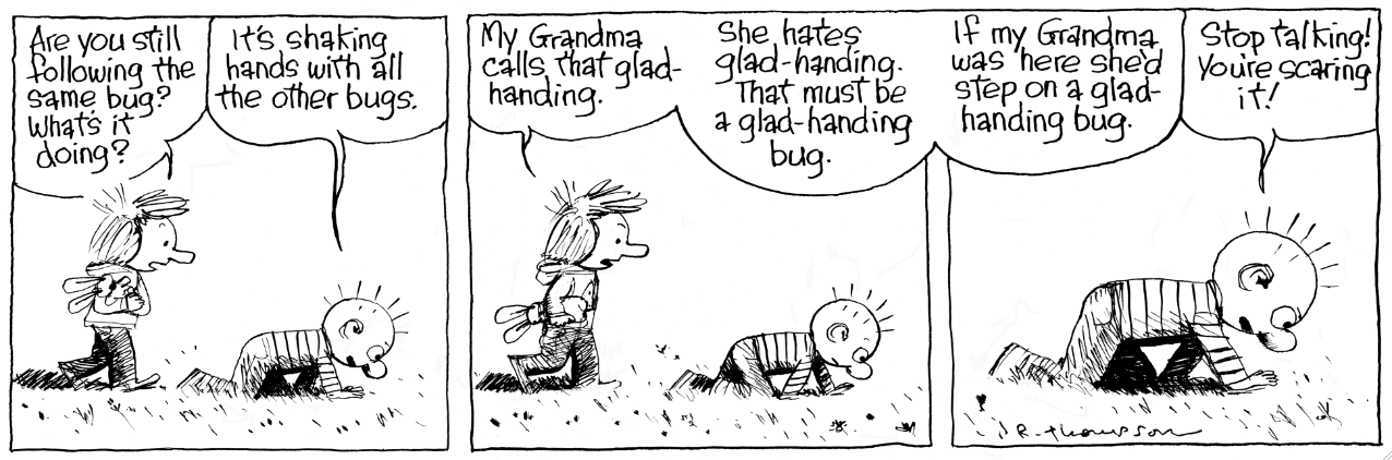 bed bug jokes image search results