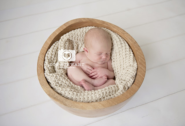 Newborn, prop, bear, hat, edinburgh, photographer, zoe, stewart, female, studio, portrait, natural, light, beautiful, zoestewart, photography, bowl