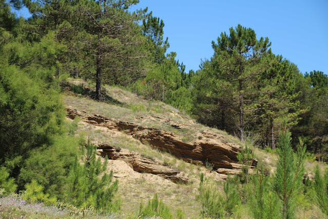 Dunas petrificadas de Gorliz.