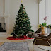 Πώς να επιλέξουμε το καλύτερο χριστουγεννιάτικο δέντρο; Αληθινό ή τεχνητό; 