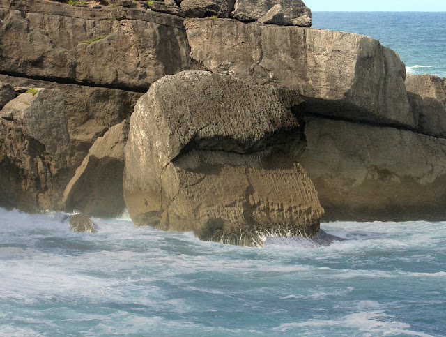 Primer plano de la cabeza, que sale del mar.