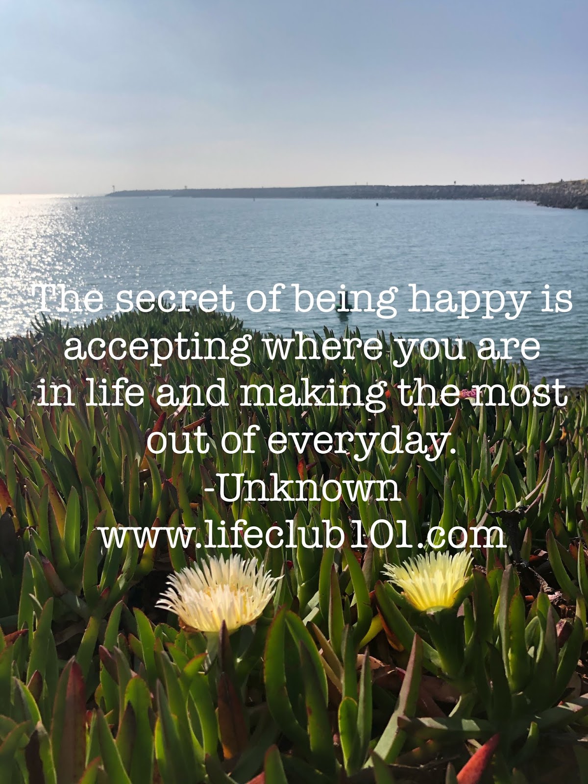 Life Is So Beautiful Live Your Life And Enjoy Every Moment Of It The Secret Of Being Happy Quote